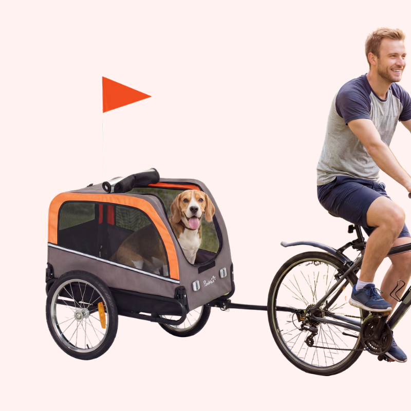 Dog Bike Trailer