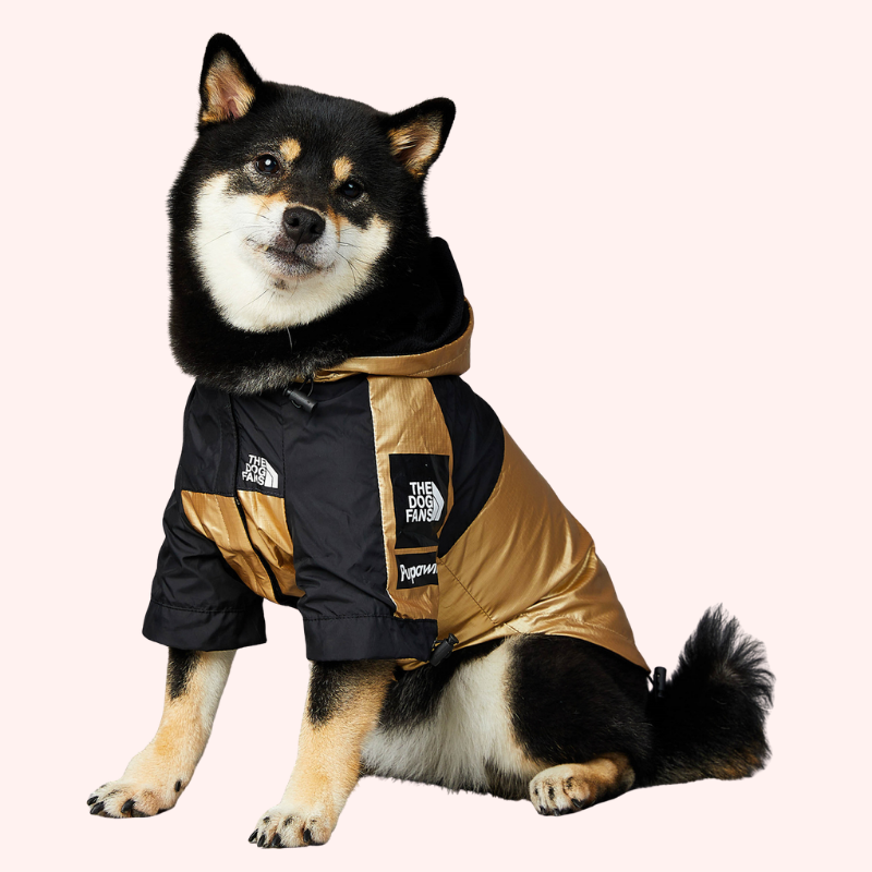Raincoat Pet Jacket