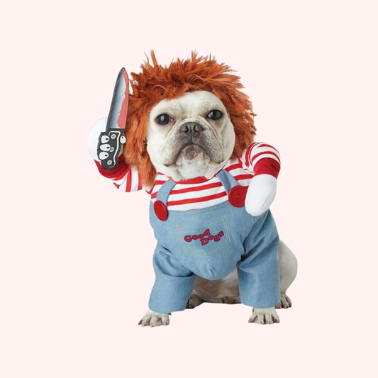 Halloween Pet Costume