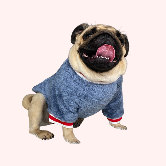Pet sweater